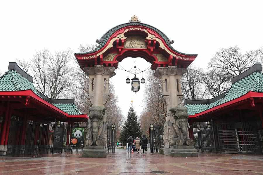 Kebun Binatang Berlin Umumkan Nama Bagi Bayi Panda Kembar-Image-2