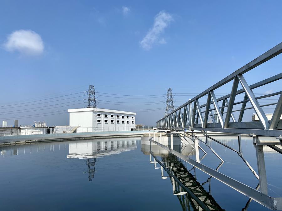 Akademisi: China berperan penting dalam transformasi hijau negara-negara Asia Selatan-Image-2