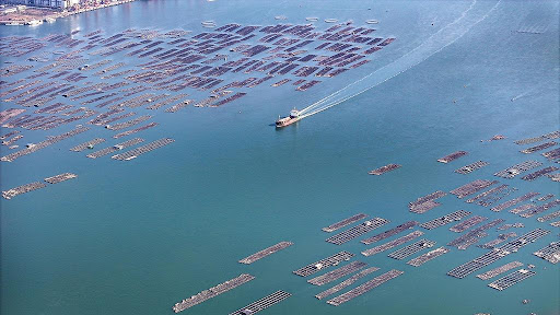 Pemerintah Hong Kong Keluarkan Peringatan Perjalanan Ke Asia Tenggara-Image-1 Pemerintah Hong Kong Keluarkan Peringatan Perjalanan Ke Asia Tenggara-Image-1