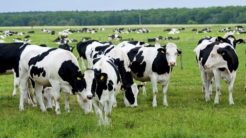 Shio Sapi 12 Februari 2025: Keberuntungan Finansial Meningkat-Image-1