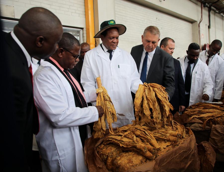 Zimbabwe Mulai Musim Pemasaran Tembakau 2025-Image-3
