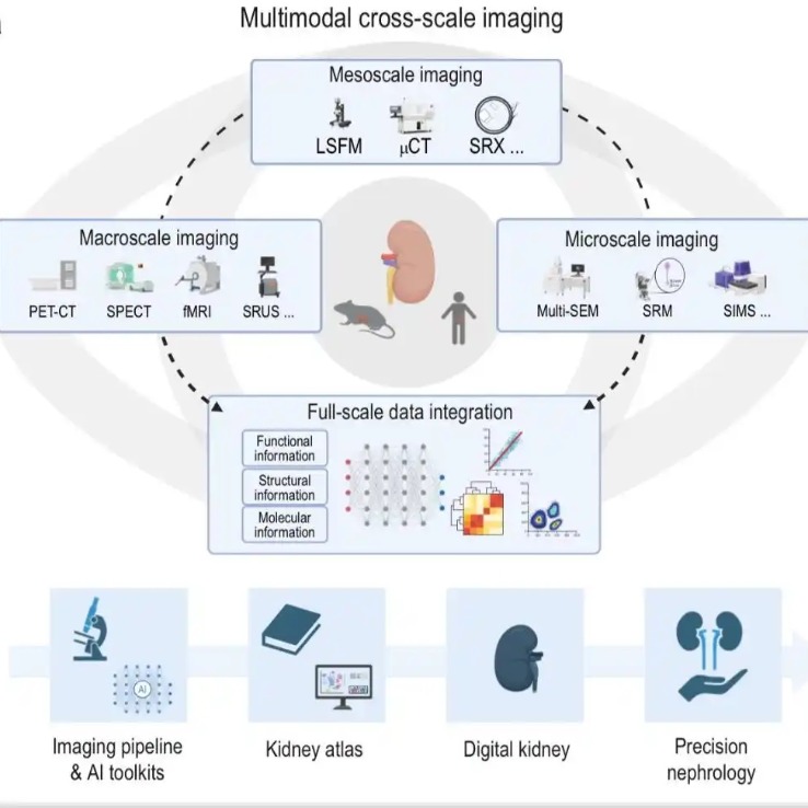 Peneliti China Berencana Ciptakan 