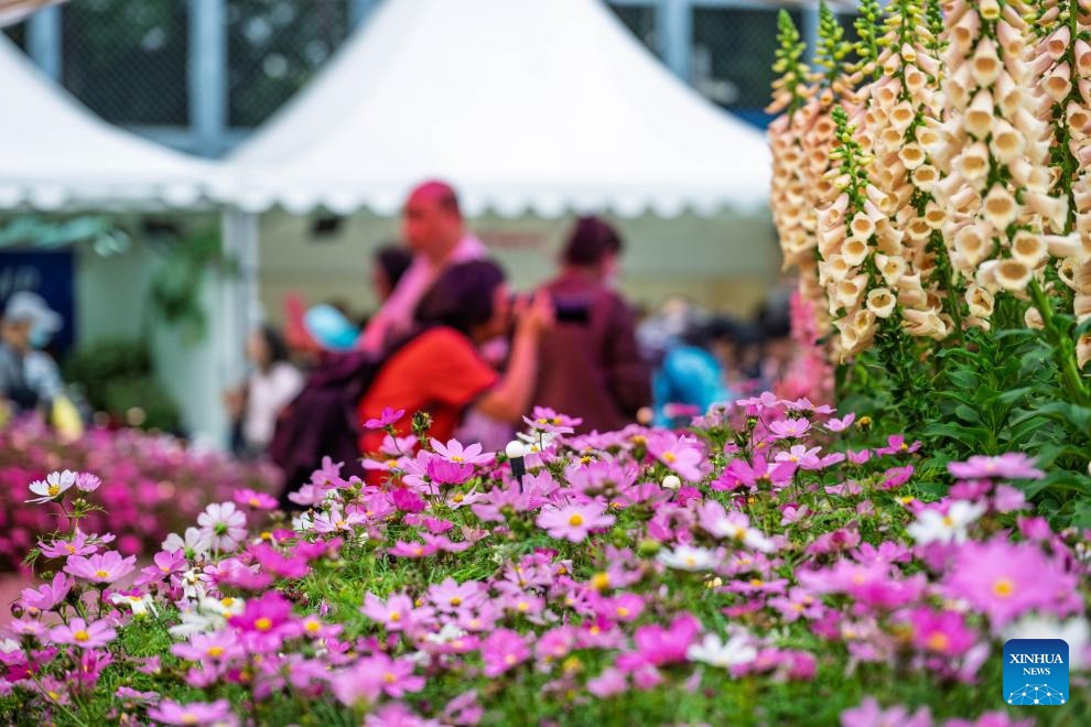 Potret : Pameran Bunga Hong Kong 2025 Resmi Dimulai-Image-1