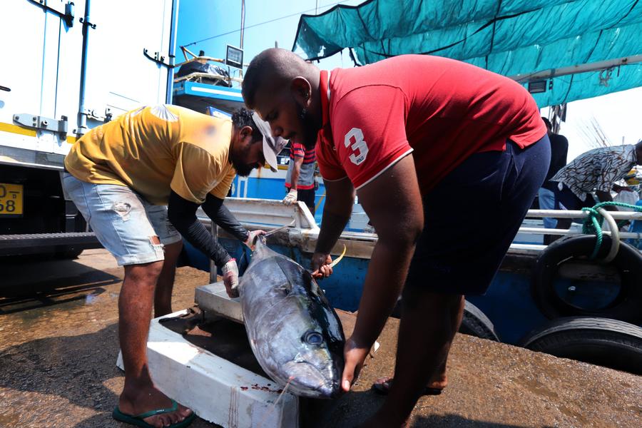 Album Asia: Menilik Kehidupan Sehari-hari Nelayan di Negombo, Sri Lanka-Image-3
