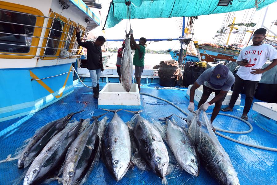 Album Asia: Menilik Kehidupan Sehari-hari Nelayan di Negombo, Sri Lanka-Image-4