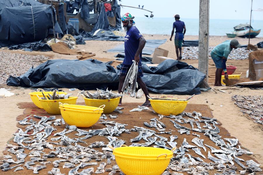 Album Asia: Menilik Kehidupan Sehari-hari Nelayan di Negombo, Sri Lanka-Image-5