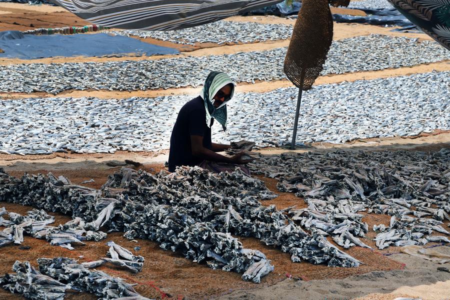 Album Asia: Menilik Kehidupan Sehari-hari Nelayan di Negombo, Sri Lanka-Image-7