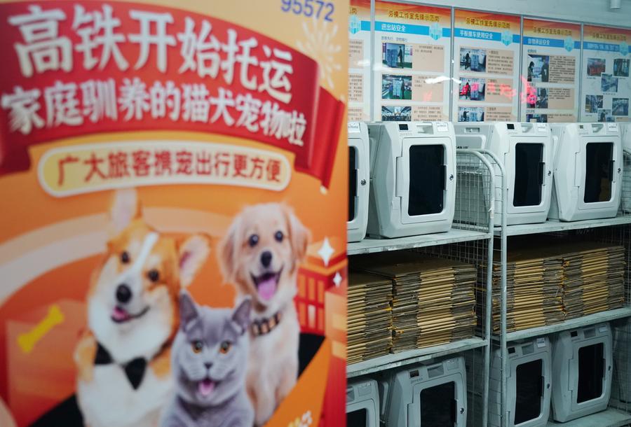 China Perluas Opsi Perjalanan untuk Hewan Peliharaan, Kini Bisa Gunakan Kereta Cepat-Image-1 China Perluas Opsi Perjalanan untuk Hewan Peliharaan, Kini Bisa Gunakan Kereta Cepat-Image-1