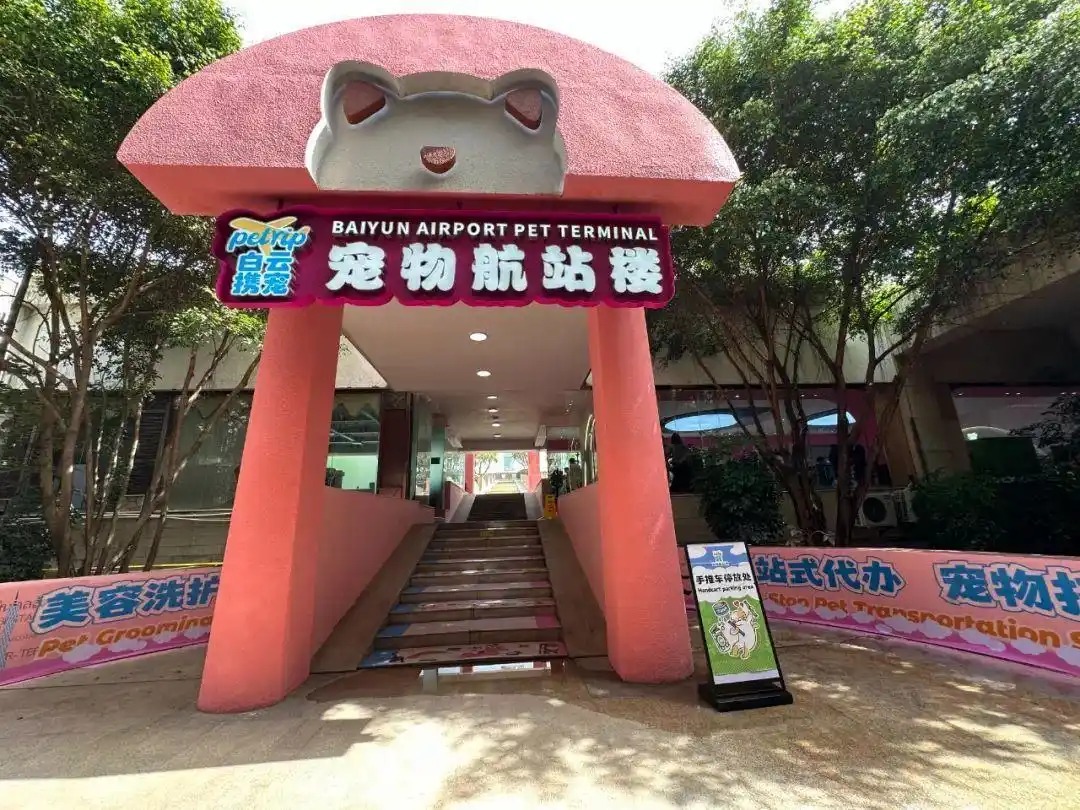 Tiongkok Membuka Terminal Pemeliharaan Hewan Pertama di Bandara Guangzhou-Image-1