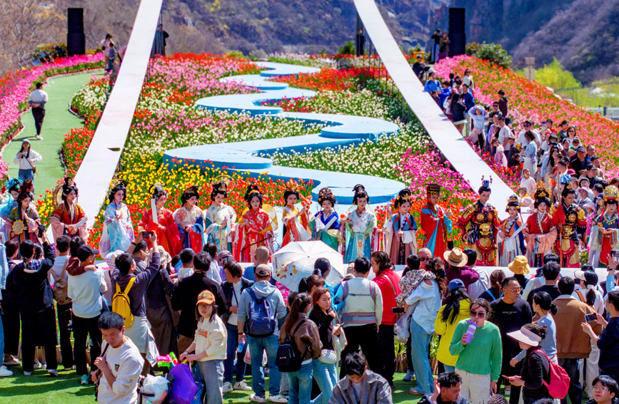 Indahnya Mekaran Jutaan Bunga Tulip di Henan, China-Image-5 Indahnya Mekaran Jutaan Bunga Tulip di Henan, China-Image-5