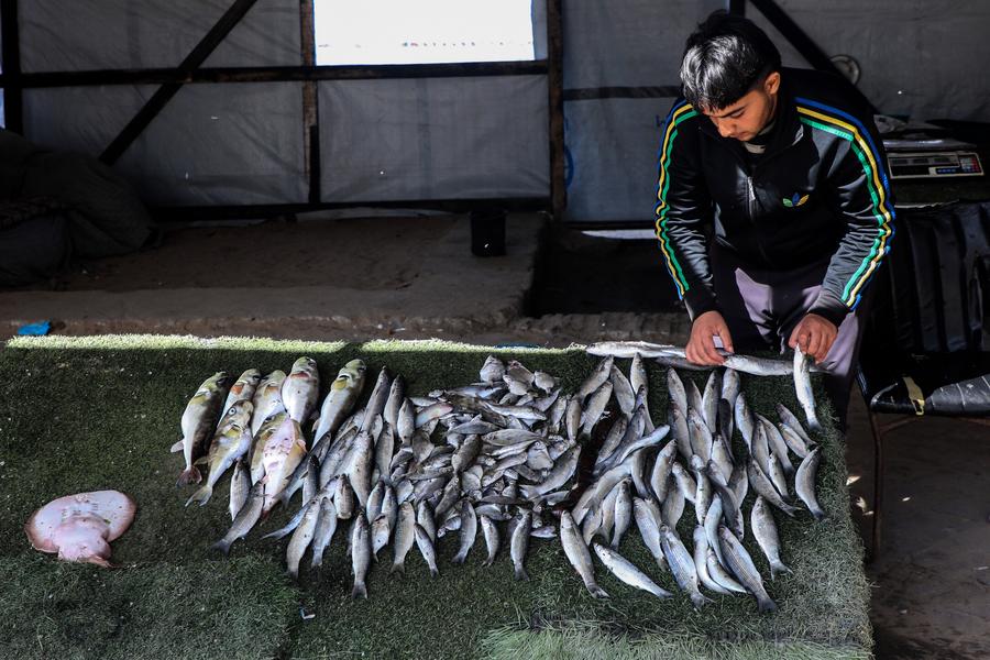 Nelayan Gaza Berjuang untuk Bertahan Hidup di Tengah Kelaparan dan Blokade-Image-3