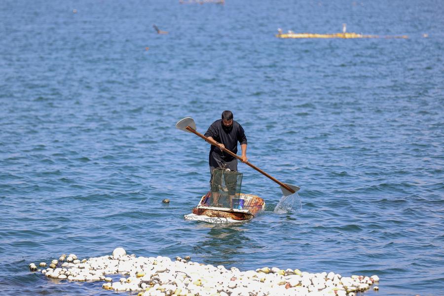 Nelayan Gaza Berjuang untuk Bertahan Hidup di Tengah Kelaparan dan Blokade-Image-4