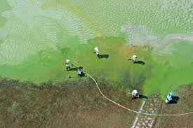 Cegah Kerusakan Ekologi Laut, Tiongkok Bakal Tindak Tegas Pelaku Pencemaran Laut-Image-1 Cegah Kerusakan Ekologi Laut, Tiongkok Bakal Tindak Tegas Pelaku Pencemaran Laut-Image-1