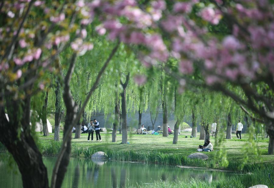 China Terus Catat Kemajuan dalam Kualitas Lingkungan Hidup-Image-1