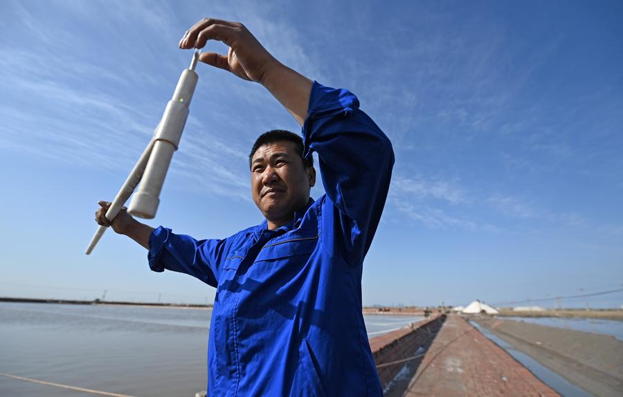 Menengok Musim Panen di Tambak Garam di Tianjin, China Utara-Image-5 Menengok Musim Panen di Tambak Garam di Tianjin, China Utara-Image-5