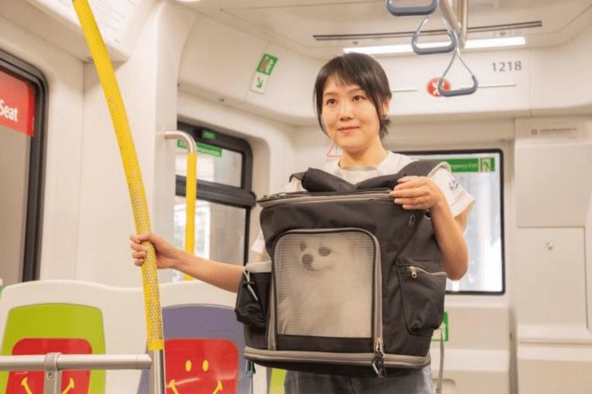 Hong Kong Memulai Uji Coba Hewan Peliharaan Naik LRT Dengan Aturan Khusus.-Image-1 Hong Kong Memulai Uji Coba Hewan Peliharaan Naik LRT Dengan Aturan Khusus.-Image-1