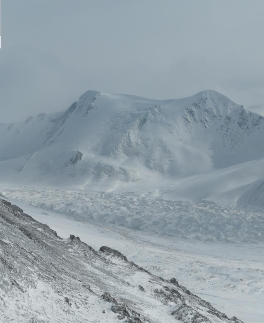 Studi Ungkap Resorpsi Unsur Hara Tanaman di Dataran Tinggi Qinghai-Tibet-Image-1 Studi Ungkap Resorpsi Unsur Hara Tanaman di Dataran Tinggi Qinghai-Tibet-Image-1