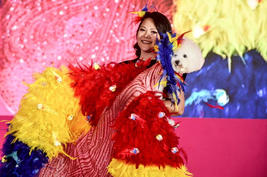 Album Asia: Menilik Pet Fest Indonesia 2025, Ajang 