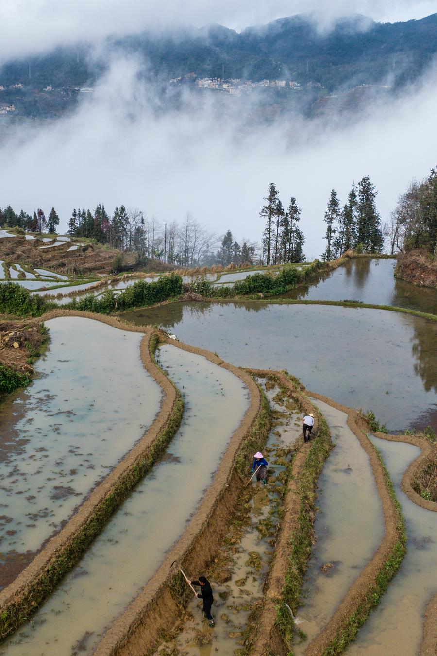Menilik Pesona Ekosistem Pertanian Berusia 1.300 Tahun di Yunnan, China Barat Daya-Image-3 Menilik Pesona Ekosistem Pertanian Berusia 1.300 Tahun di Yunnan, China Barat Daya-Image-3