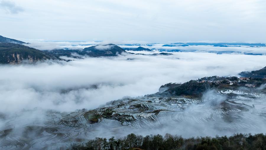Menilik Pesona Ekosistem Pertanian Berusia 1.300 Tahun di Yunnan, China Barat Daya-Image-12 Menilik Pesona Ekosistem Pertanian Berusia 1.300 Tahun di Yunnan, China Barat Daya-Image-12