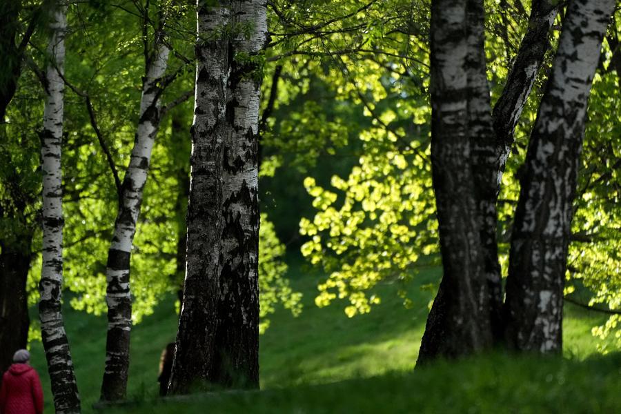 Menikmati Pemandangan Moskow Lewat Bidikan Kamera Xinhua-Image-16