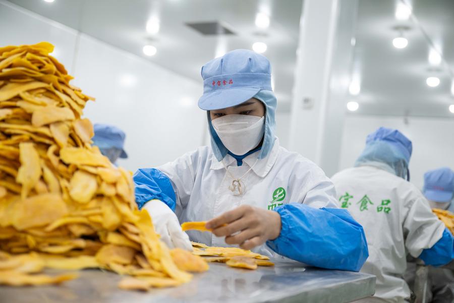 Nilai Ekspor Kamboja Naik 14 persen pada Periode Januari-April 2025-Image-2