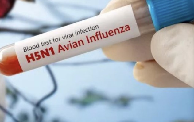 Peneliti Hong Kong Kembangkan Vaksin Flu Tanpa Jarum-Image-1