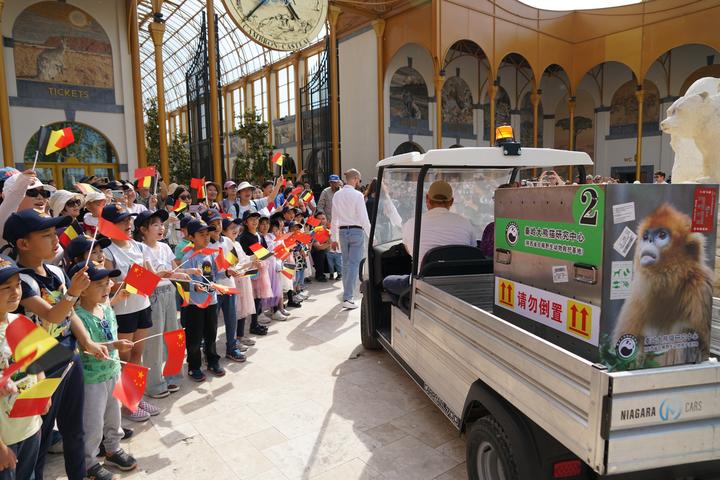 Diterbangkan dari China, Tiga Monyet Emas Langka Tiba di Kebun Binatang Pairi Daiza, Belgia-Image-3