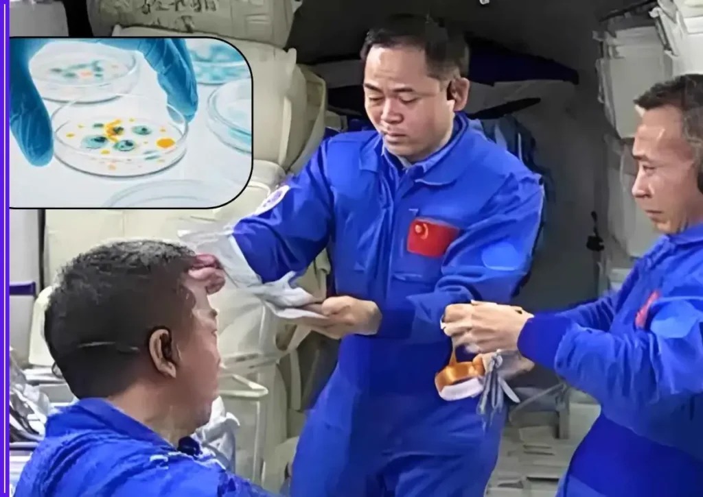 CMSA : Peneliti China Temukan Spesies Mikroba Baru di Stasiun Luar Angkasa-Image-1