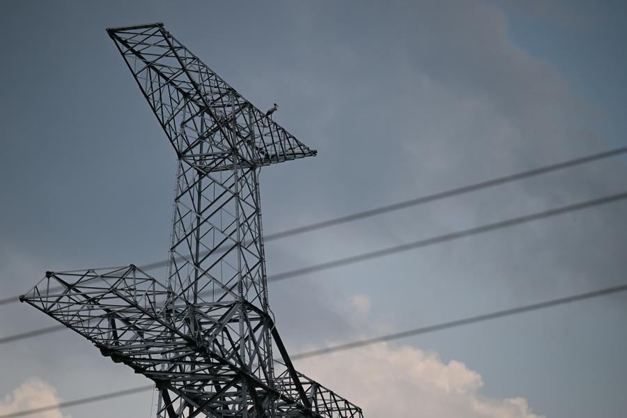 GLOBALink: Konstruksi Proyek Ditunda demi Perlindungan Bangau Putih Oriental di Provinsi Anhui, China Timur -Image-3