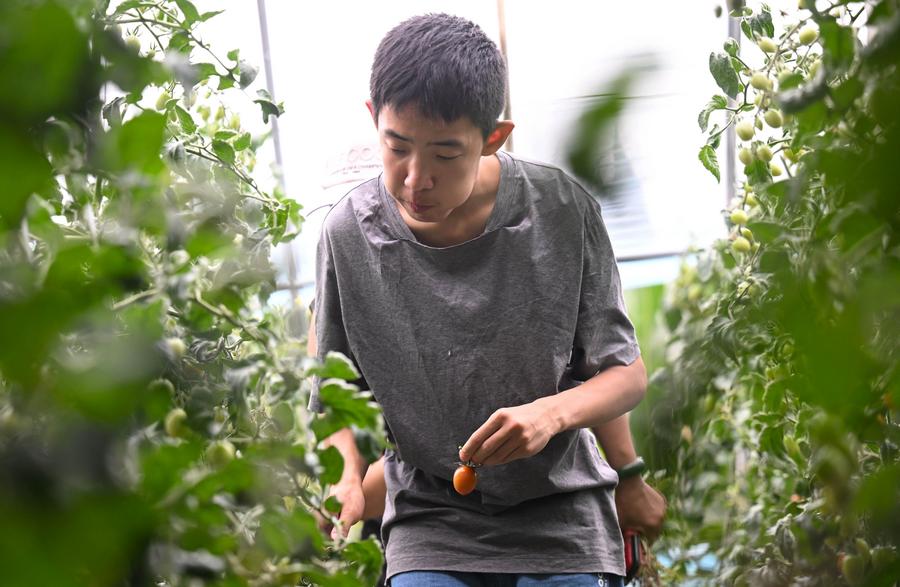 Berkebun Jadi Terapi bagi Anak Penyandang Autisme dan Disabilitas Intelektual di Tianjin, China-Image-5