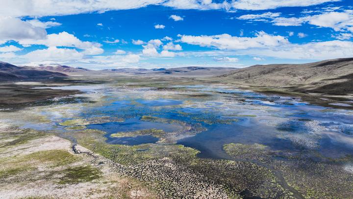 Menilik Keragaman Burung Penghuni Cagar Alam Nasional Longbao Qinghai, China-Image-1