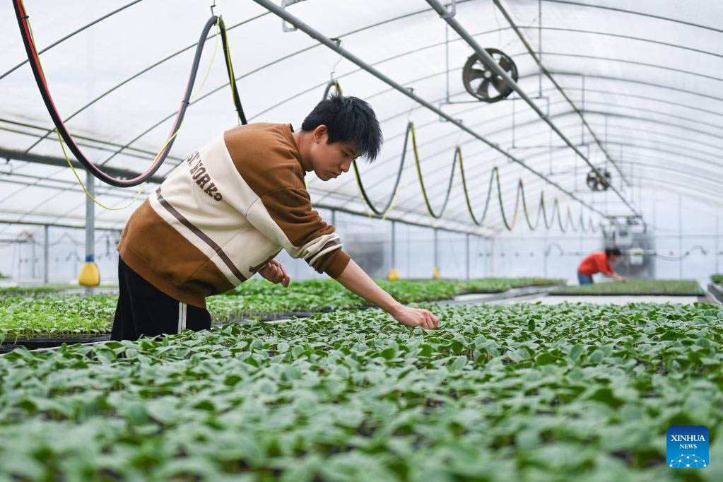 China Bakal Optimalkan Konsumsi Produk Pertanian-Image-1 China Bakal Optimalkan Konsumsi Produk Pertanian-Image-1