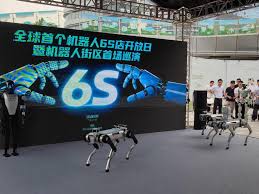Toko Robot 6S Pertama Buka di Shenzhen, China-Image-1