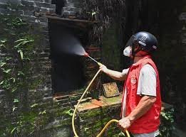 Berantas Chikungunya, Guangdong Gelar Sejumlah Aksi-Image-1