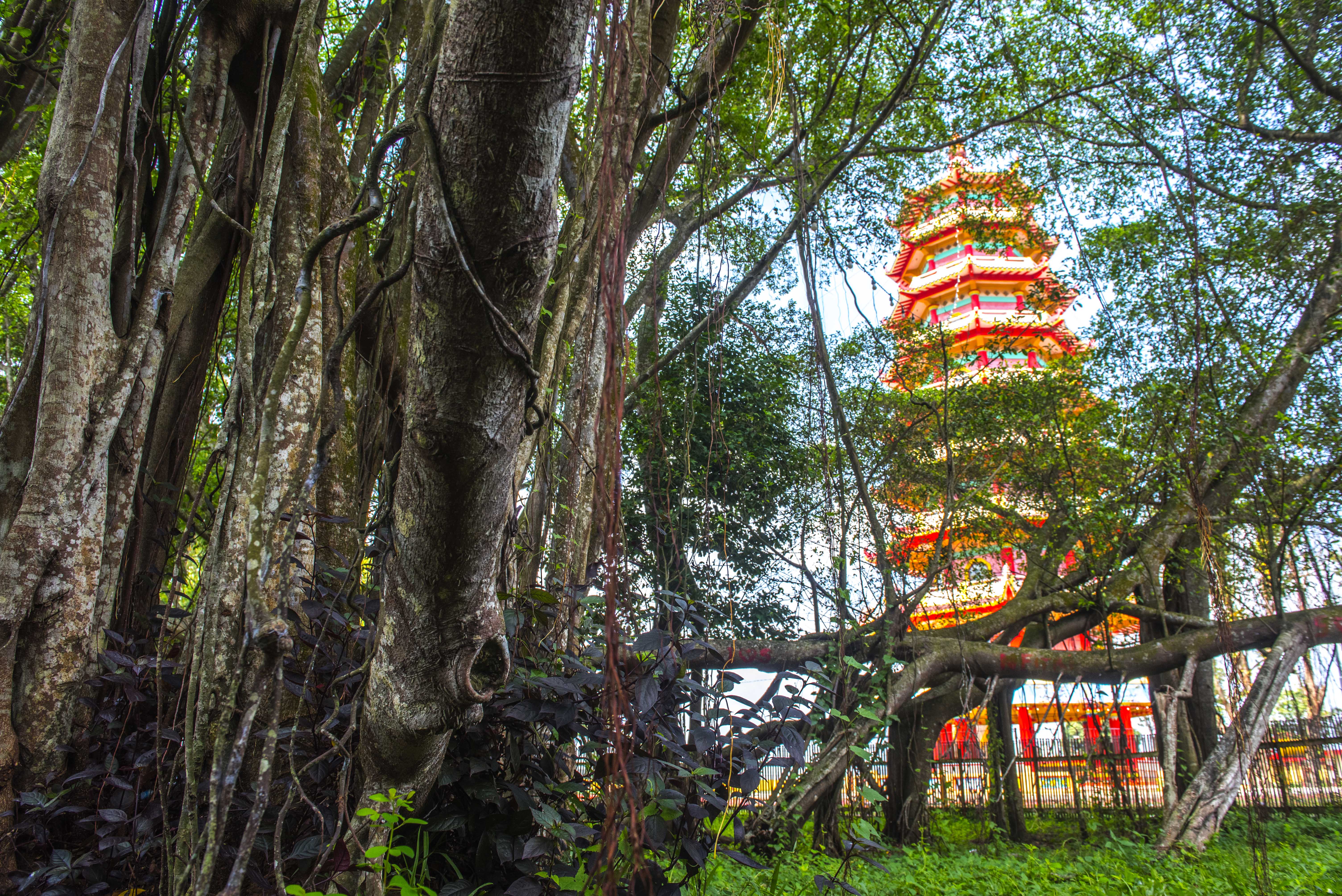 Legenda Pulau Kemaro sebagai Simbol Harmoni dan Budaya Tionghoa di Sumatra Selatan-Image-6 Legenda Pulau Kemaro sebagai Simbol Harmoni dan Budaya Tionghoa di Sumatra Selatan-Image-6