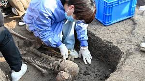 Peti Mati Kayu Tertua Tiongkok ditemukan di Henan-Image-1 Peti Mati Kayu Tertua Tiongkok ditemukan di Henan-Image-1