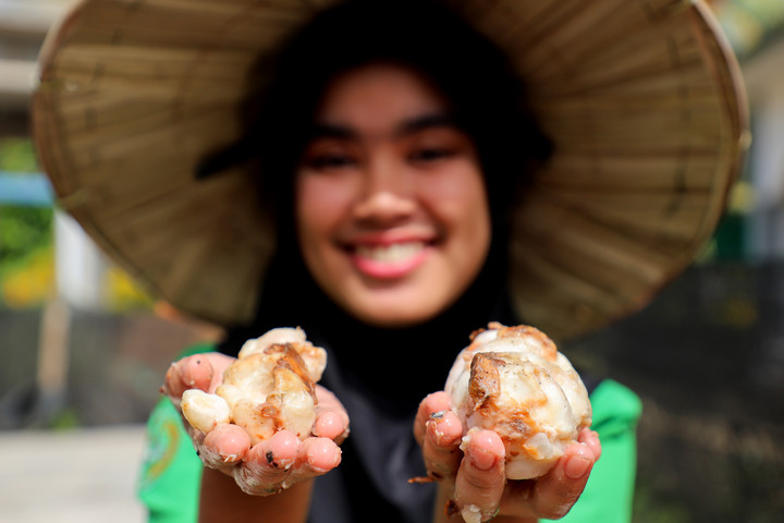 Menilik Proses Pengolahan Kakao di Tengah Penguatan Hilirisasi Komoditas Perkebunan di Indonesia-Image-2