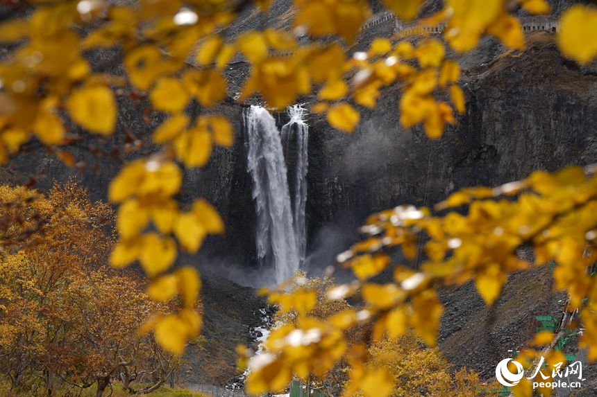 Potret : Panorama Emas Musim Gugur Menyelimuti Gunung Changbai di Jilin-Image-4 Potret : Panorama Emas Musim Gugur Menyelimuti Gunung Changbai di Jilin-Image-4