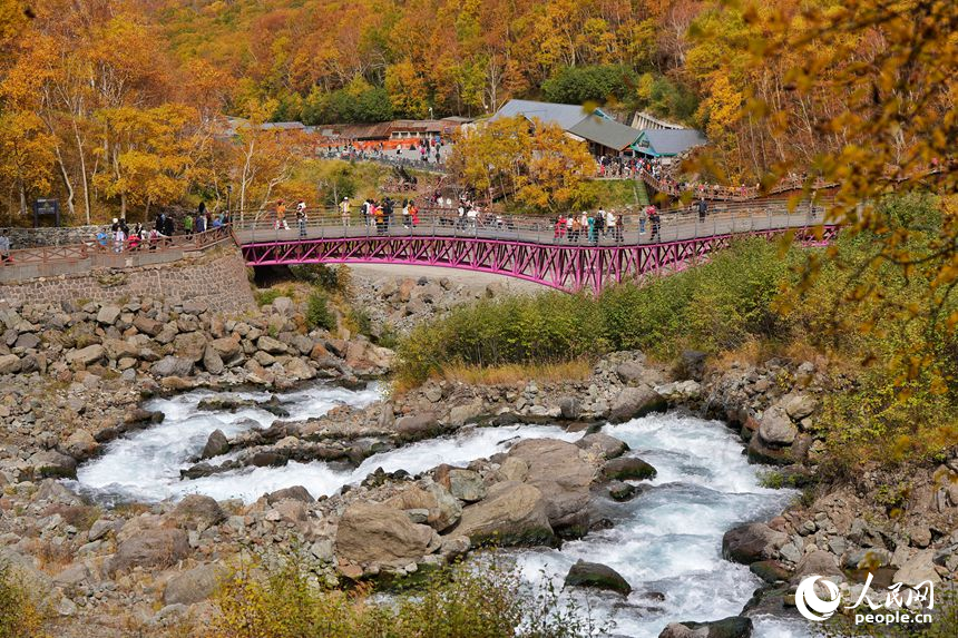 Potret : Panorama Emas Musim Gugur Menyelimuti Gunung Changbai di Jilin-Image-6 Potret : Panorama Emas Musim Gugur Menyelimuti Gunung Changbai di Jilin-Image-6