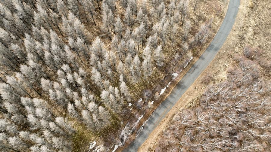 Warisan Bumi Bertambah: UNESCO Akui 26 Cagar Biosfer Baru, Termasuk di Tiongkok-Image-2 Warisan Bumi Bertambah: UNESCO Akui 26 Cagar Biosfer Baru, Termasuk di Tiongkok-Image-2