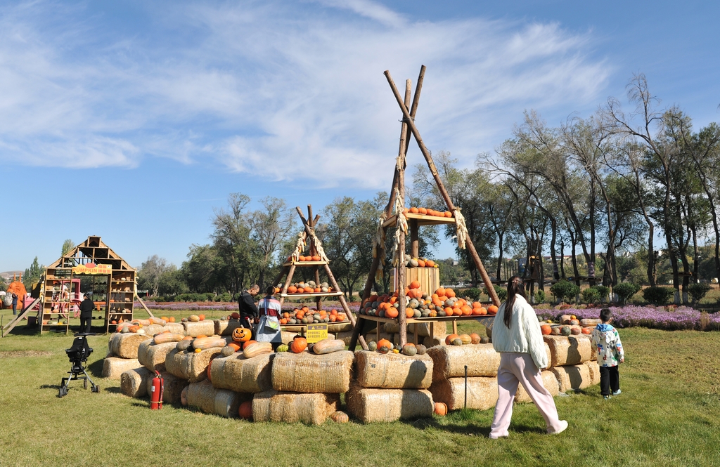 Gelaran Pameran Seni Labu Menarik Pengunjung Ke Urumqi-Image-2 Gelaran Pameran Seni Labu Menarik Pengunjung Ke Urumqi-Image-2