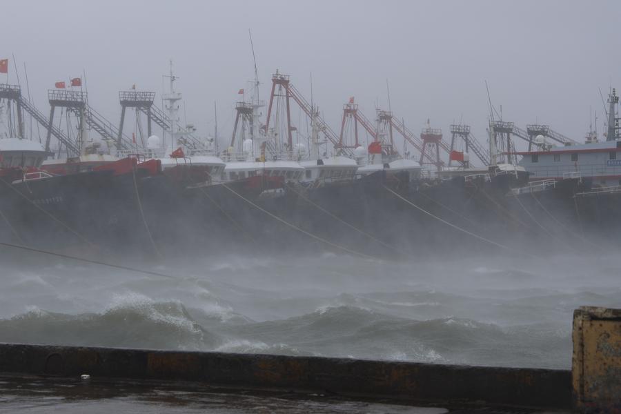 Palang Merah Tiongkok Kirimkan Bantuan Paska Topan Matmo Landa Guangdong-Image-1