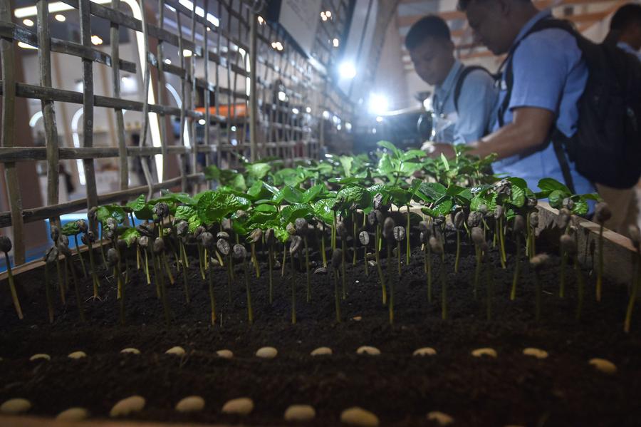 Album Asia: Trade Expo Indonesia 2025 Tawarkan Beragam Peluang Investasi-Image-2 Album Asia: Trade Expo Indonesia 2025 Tawarkan Beragam Peluang Investasi-Image-2