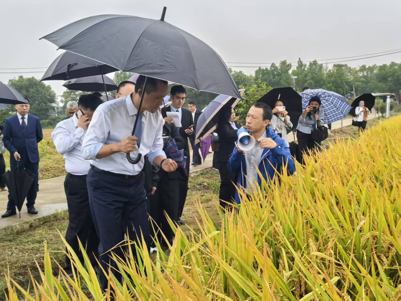 Dari Negeri Ribuan Kepulauan ke Provinsi Ribuan Danau, Menteri Indonesia Jajaki Peluang Kerja Sama Baru di Hubei, China-Image-3