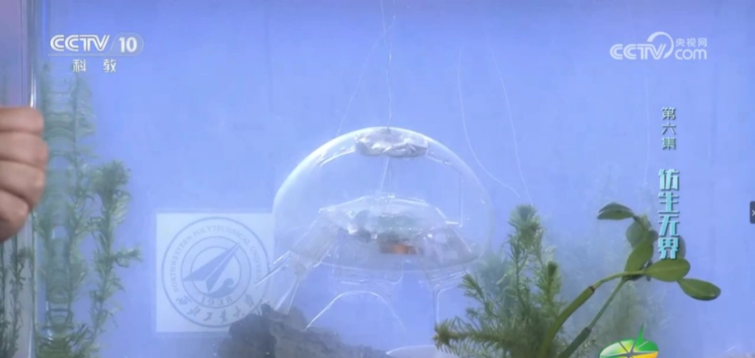 Robot Ubur-Ubur Transparan Inovasi Baru Tiongkok untuk Eksplorasi Laut-Image-1
