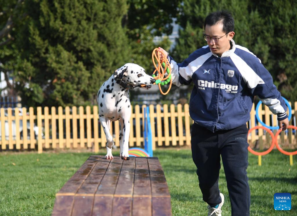 Potret : Pet-Friendly Park Pertama di Pinggu-Image-2