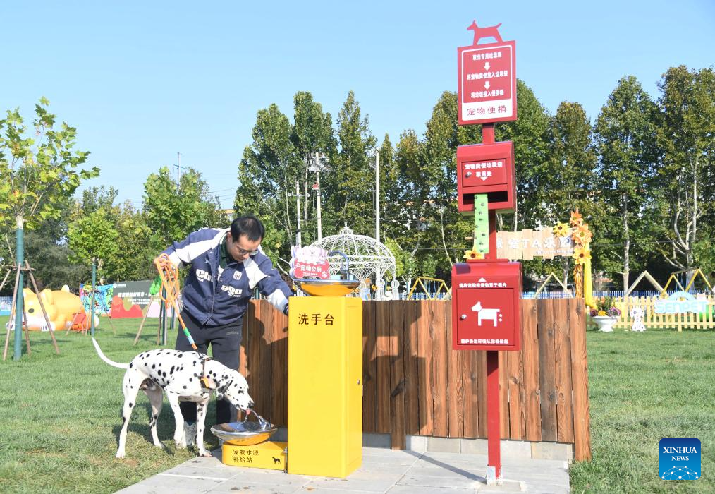 Potret : Pet-Friendly Park Pertama di Pinggu-Image-4