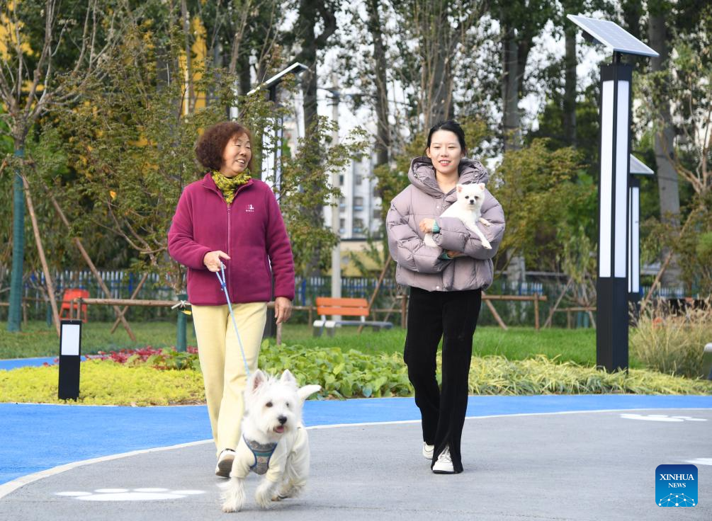 Potret : Pet-Friendly Park Pertama di Pinggu-Image-3