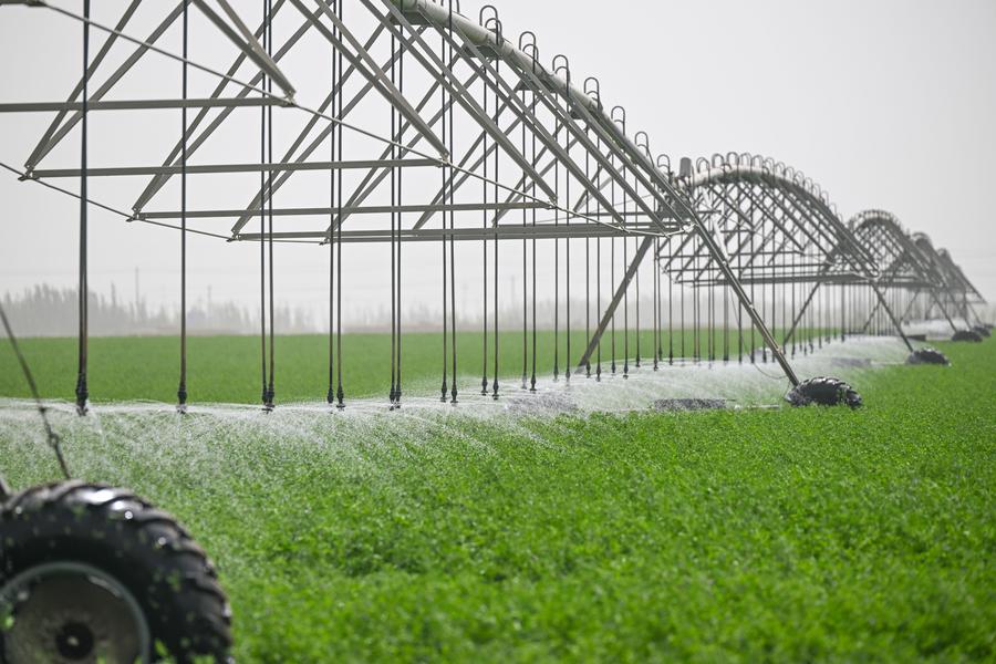 Transformasi Konservasi Air Tiongkok Tetapkan Agenda Inovasi Peralatan Hemat Air hingga 2027-Image-1 Transformasi Konservasi Air Tiongkok Tetapkan Agenda Inovasi Peralatan Hemat Air hingga 2027-Image-1